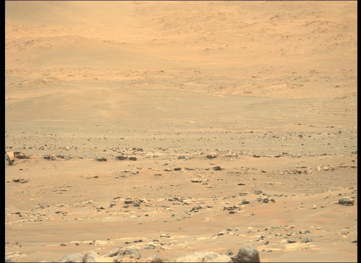 MarsMissionImgs's tweet photo. #PerseveranceRover image taken on #Sol130 at 11:32:40.048 AM with #MastcamZ #Mars #NASA #Space https://t.co/hYU1KRmWkM