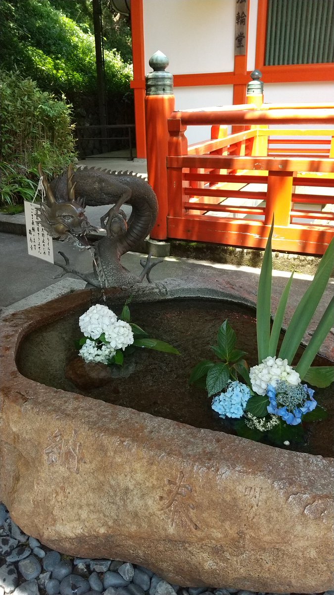 衣丘わこ Wakopuu Twitter