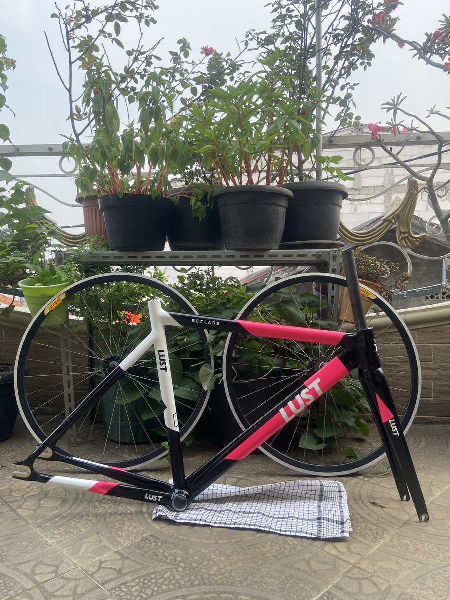 Kabescndhnd tweet media