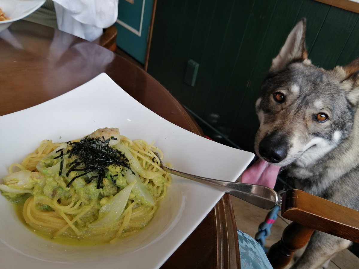みんなの シチュー パスタ 口コミ 評判 食べたいランチ 夜ごはんがきっと見つかる ナウティスイーツ