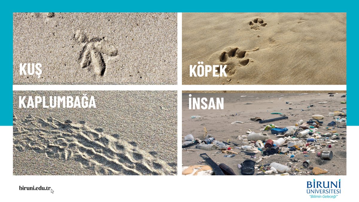 Biruniedu's tweet photo. Temiz bir çevre gelecek nesillere bırakılan en büyük hazinedir. • A clean environment is the greatest treasure left to future generations. https://t.co/e7QYpLoSEM