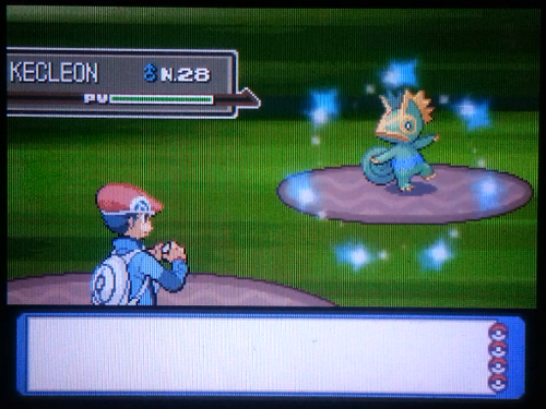 HydroPoing's tweet image. Cette shasse date d&apos;il y a 6 ans, quand j&apos;ai raté pour la première fois Kecleon au Grand Marais. 

Il est maintenant de retour en Phase 9, après autant d&apos;années ! Cette shasse, je la considère comme mon projet de cette carrière SH. Il n&apos;y aura JAMAIS mieux que lui, pour moi !