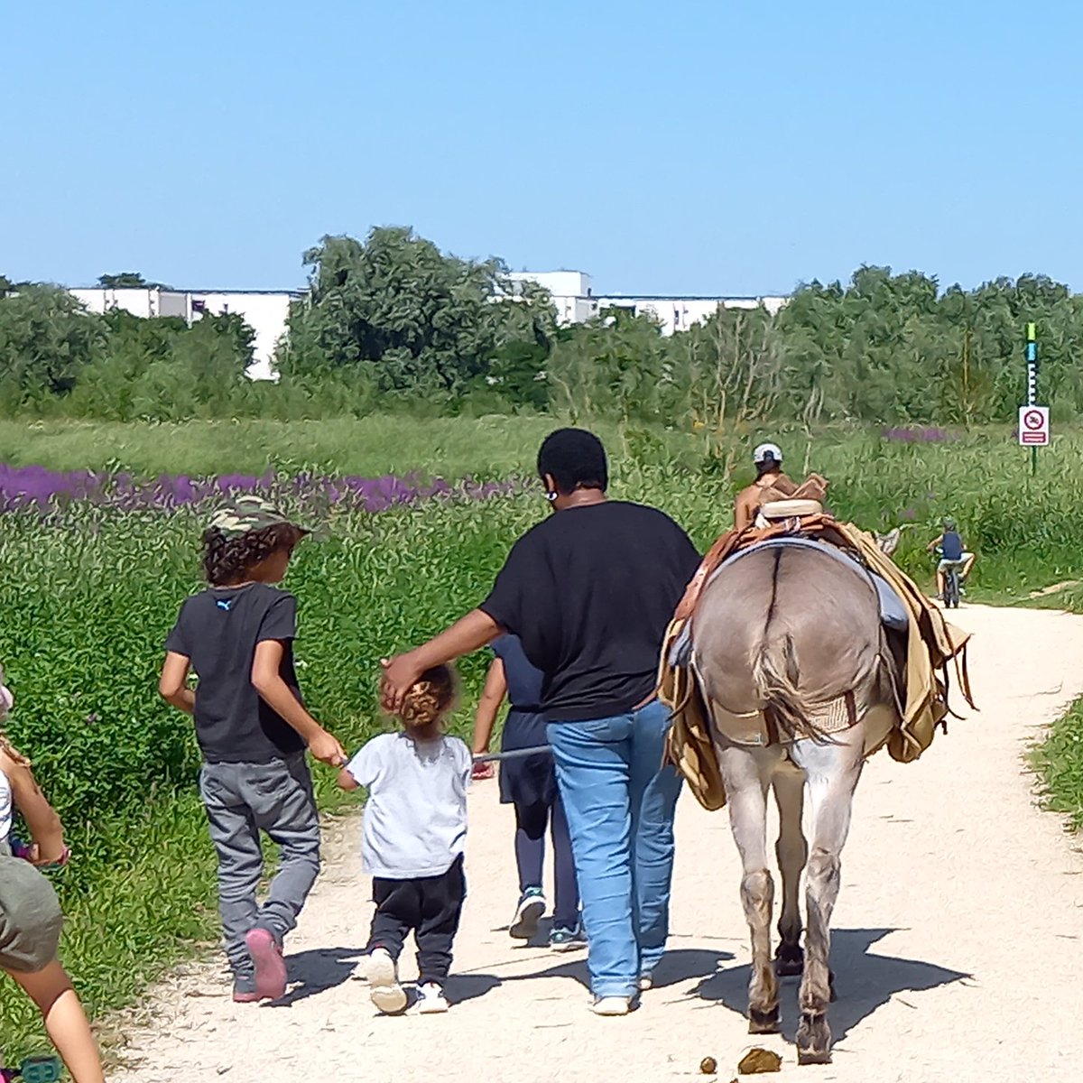 ParcPeupleDeL'herbe tweet media
