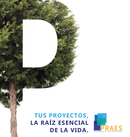 En PRAES queremos conocerte, entenderte y cubrir tus necesidades constructivas. 

Examinamos, comprobamos y ejecutamos todo tipo de obras (edificación, industrial, civil, construcción de ascensores, rehabilitación de edificios y construcción de locales comerciales).