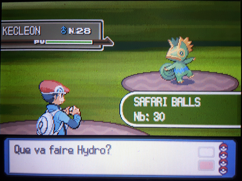 HydroPoing's tweet image. Cette shasse date d&apos;il y a 6 ans, quand j&apos;ai raté pour la première fois Kecleon au Grand Marais. 

Il est maintenant de retour en Phase 9, après autant d&apos;années ! Cette shasse, je la considère comme mon projet de cette carrière SH. Il n&apos;y aura JAMAIS mieux que lui, pour moi !