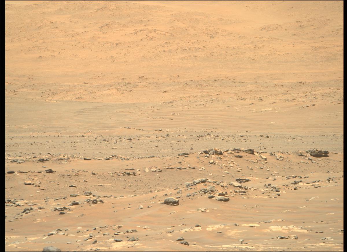 MarsMissionImgs's tweet photo. #PerseveranceRover image taken on #Sol130 at 11:32:51.727 AM with #MastcamZ #Mars #NASA #Space https://t.co/rzV38P6GhQ