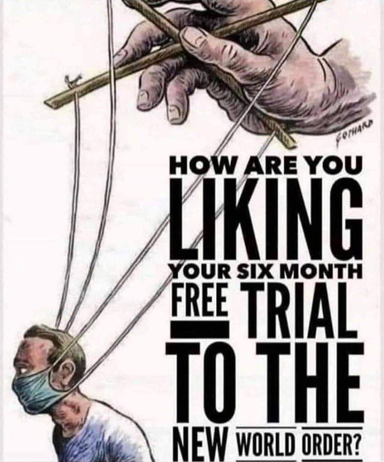 TopShottaDrivah's tweet image. Those of us not submitting to the sterilization and euthanasia injection, will be killed off by deliberate food shortages, mixed in with dose of power blackouts, and a dash of cyber attacks. 
2020 was just an appetizer; most people don’t know that the main course is still coming.