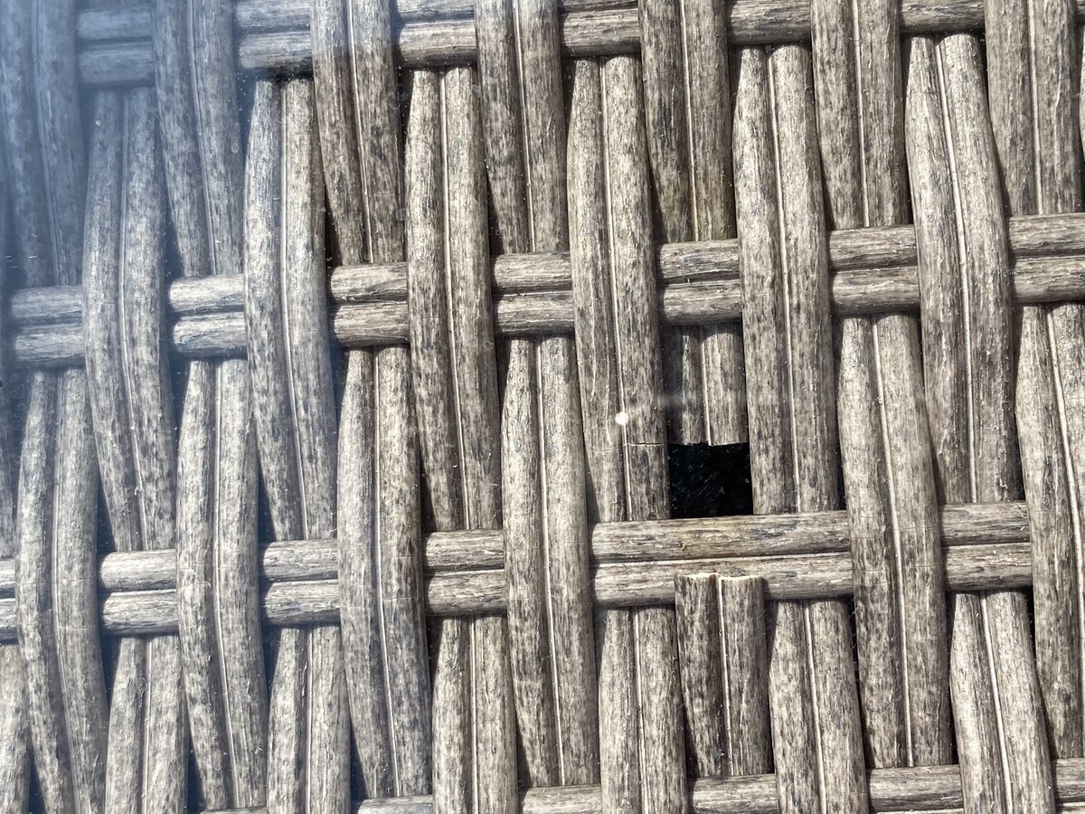 maureen baker tweet media