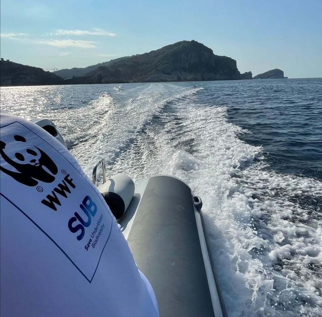 WWFitalia's tweet photo. Una rete da #pesca di 40 metri é stata recuperata alla secca del Grimaldo (La Spezia) ad oltre 20 metri di profondità dai #volontari di #WWFsub con la collaborazione di #CinqueTerre academy
#ghostGear #generazionemare
Le reti fantasma uccidono il #mare https://t.co/2wt9xXL9sh