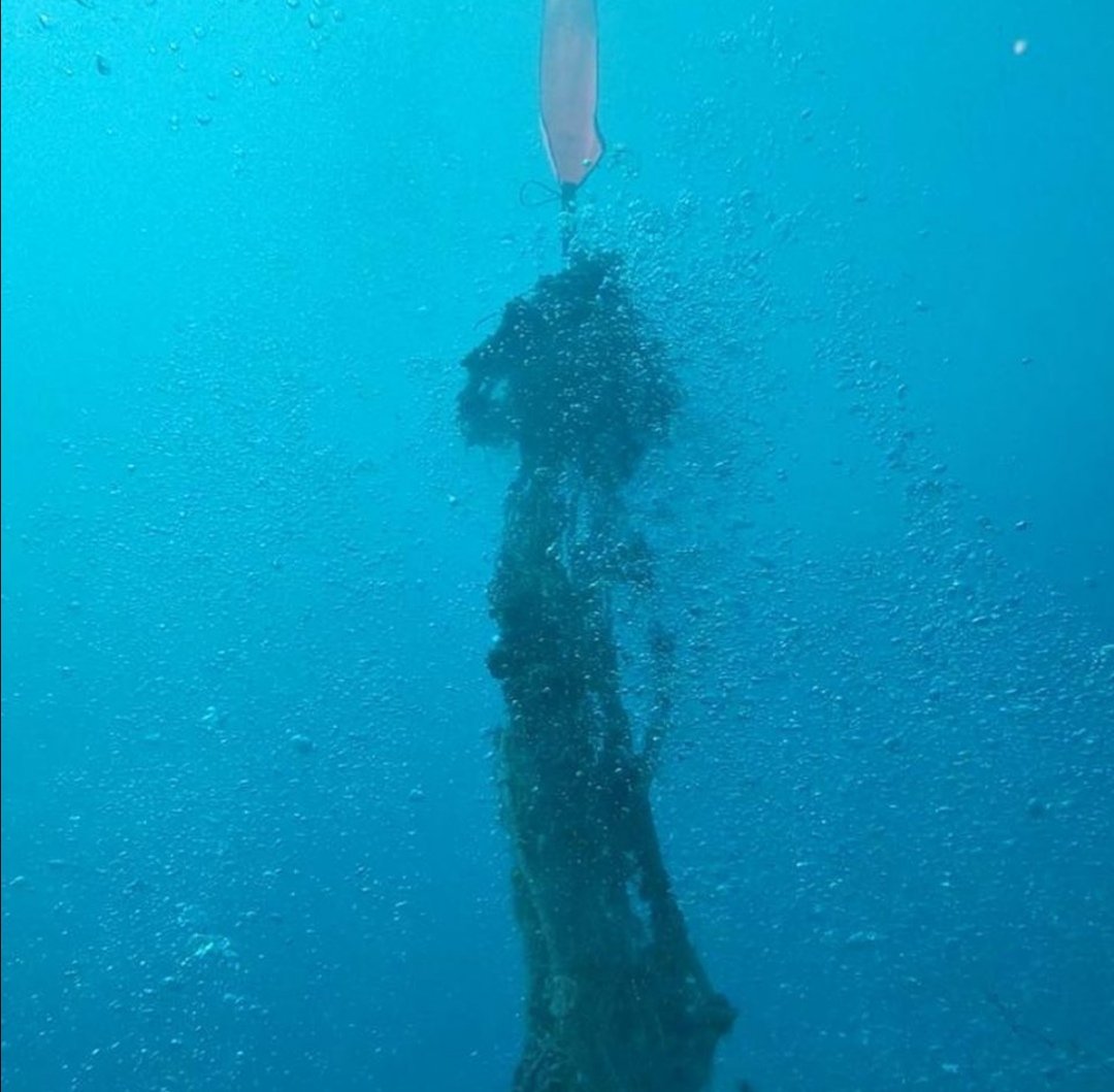 WWFitalia's tweet photo. Una rete da #pesca di 40 metri é stata recuperata alla secca del Grimaldo (La Spezia) ad oltre 20 metri di profondità dai #volontari di #WWFsub con la collaborazione di #CinqueTerre academy
#ghostGear #generazionemare
Le reti fantasma uccidono il #mare https://t.co/2wt9xXL9sh