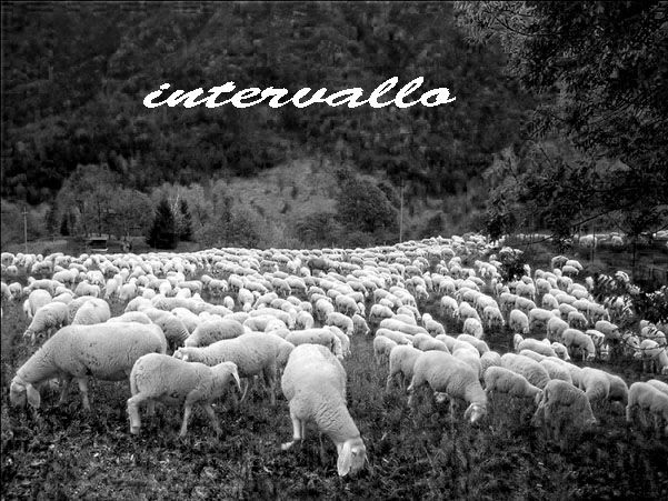 RaiRadioTechete's tweet photo. L'uccellino della radio - #Sigle e #Intervalli Rai, 1ª parte
Un potpourri creato "miscelando" insieme sigle intervalli ed altre piccole curiosità di Radio e TV Rai.
A cura di Francesca Vitale.
https://t.co/7ct7fFKeYN https://t.co/X3MwhPlaoc