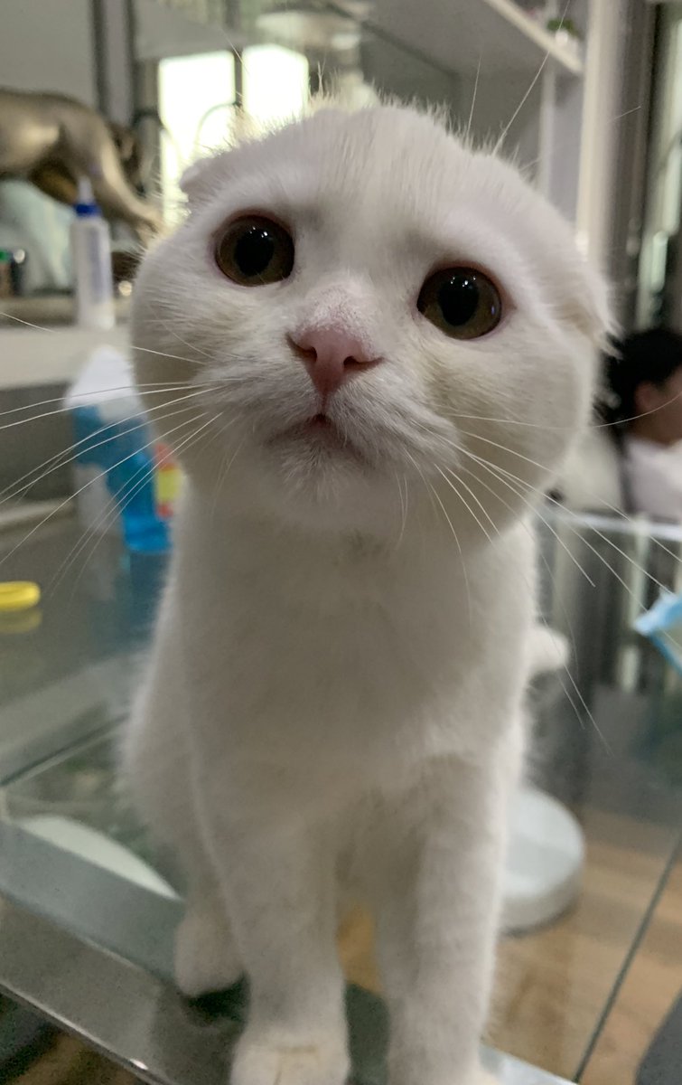 ponyo_today's tweet photo. ไม่เข้าใจ ทำไมแม่ไม่ให้เล่นขี้ https://t.co/KxQq37q5MO
