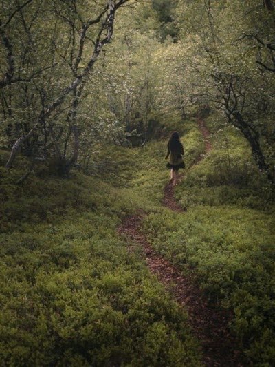 Greenlavanders's tweet photo. 🌱✨good morning✨🌱 https://t.co/r2wNH9fBu0