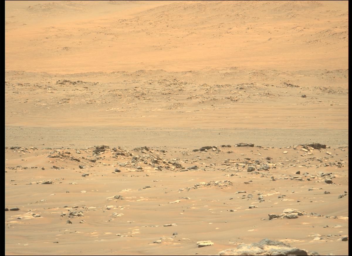 MarsMissionImgs's tweet photo. #PerseveranceRover image taken on #Sol130 at 11:33:03.406 AM with #MastcamZ #Mars #NASA #Space https://t.co/lFpakOuoQS