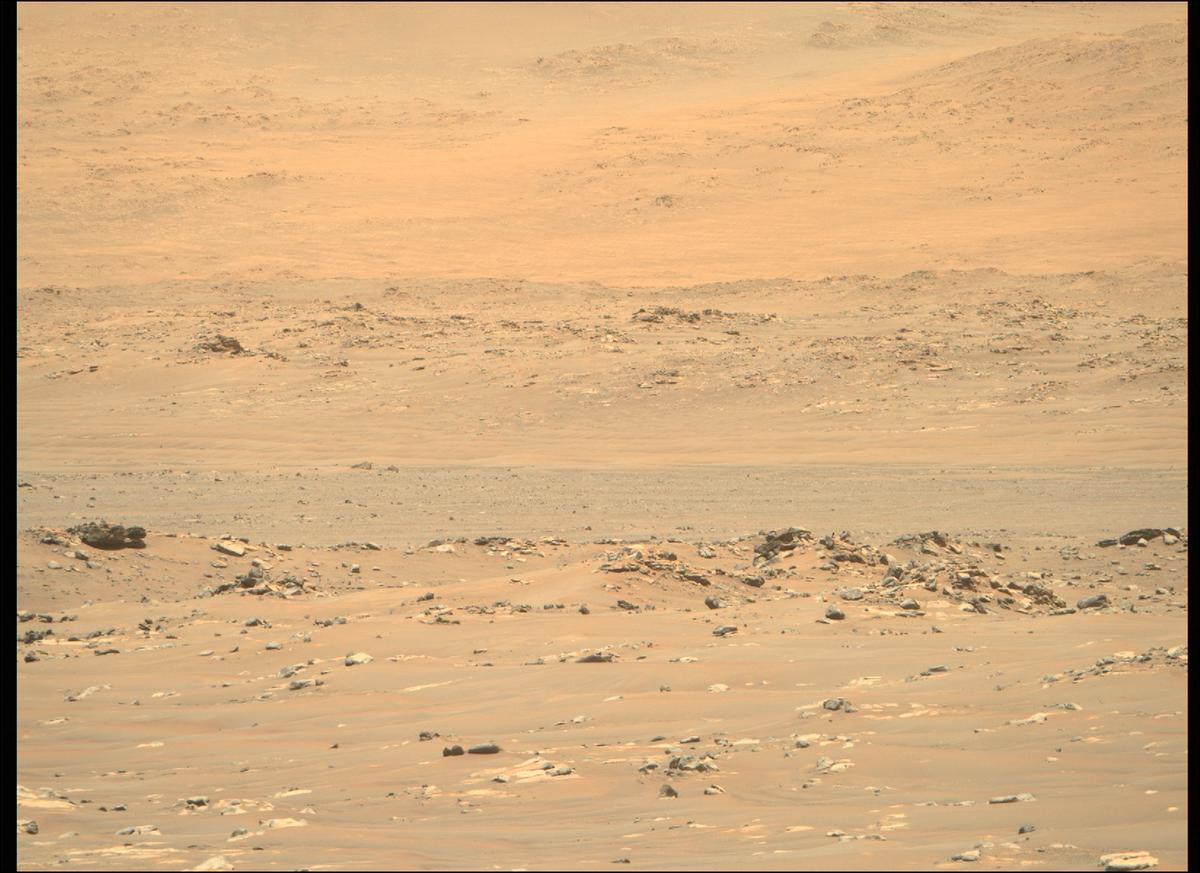 MarsMissionImgs's tweet photo. #PerseveranceRover image taken on #Sol130 at 11:33:03.406 AM with #MastcamZ #Mars #NASA #Space https://t.co/lFpakOuoQS