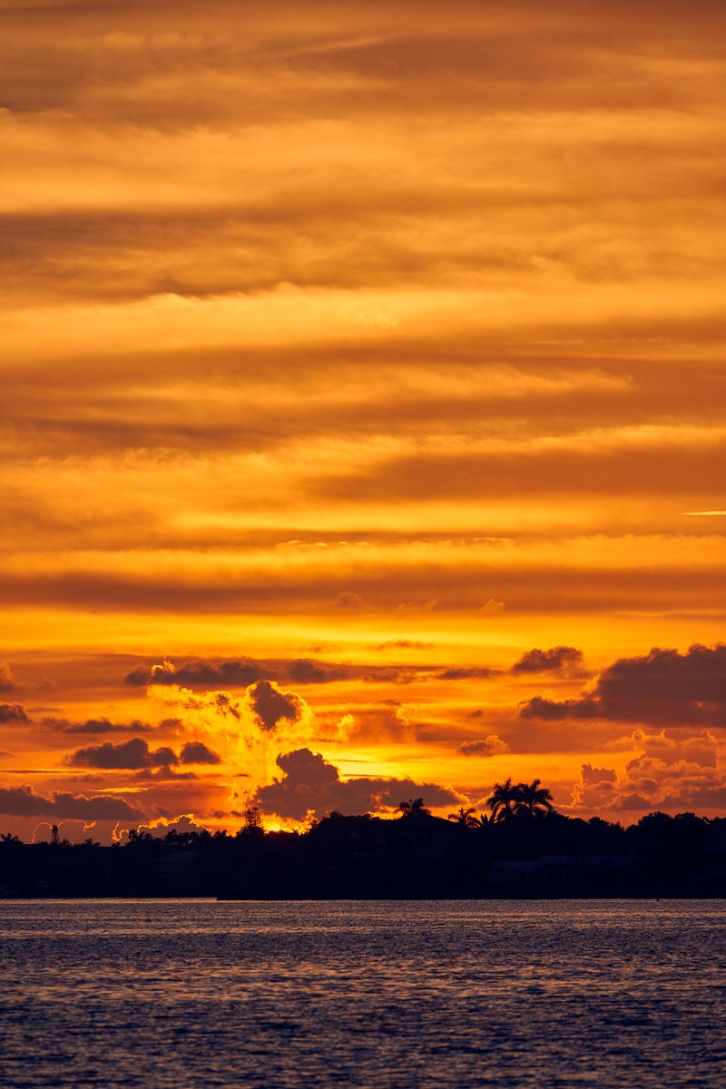 ThruMyEyesPhoto's tweet photo. Goodnight, Sarasota!

Click for the full view :)

#Sarasota #Florida #Sunset #LandscapePhotography #NaturePhotography #SRQ #SiestaKey #FloridaLife #LoveFL @LensAreLive @ThePhotoHour @The_PhotoBattle @photo_collab @mysuncoast @VisitSarasota https://t.co/1vXhLn8GHt
