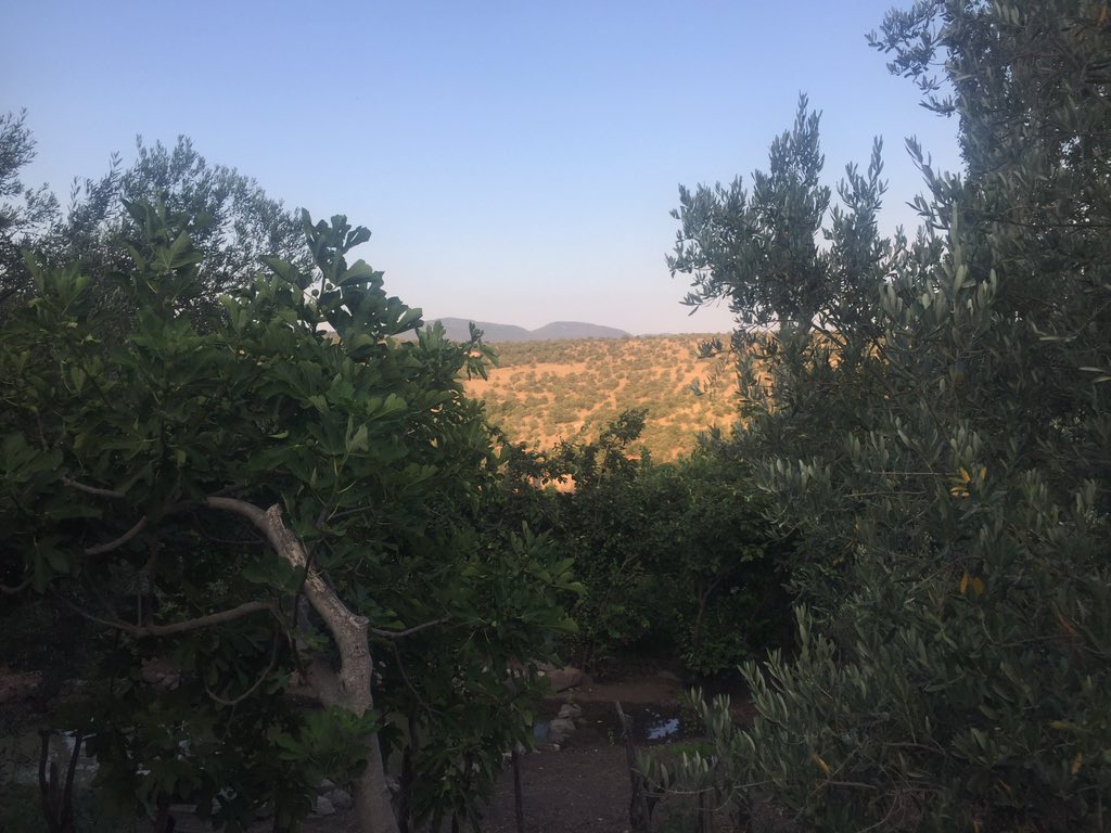 Ege'den Ürünler (@egeliurunleri) on Twitter photo 