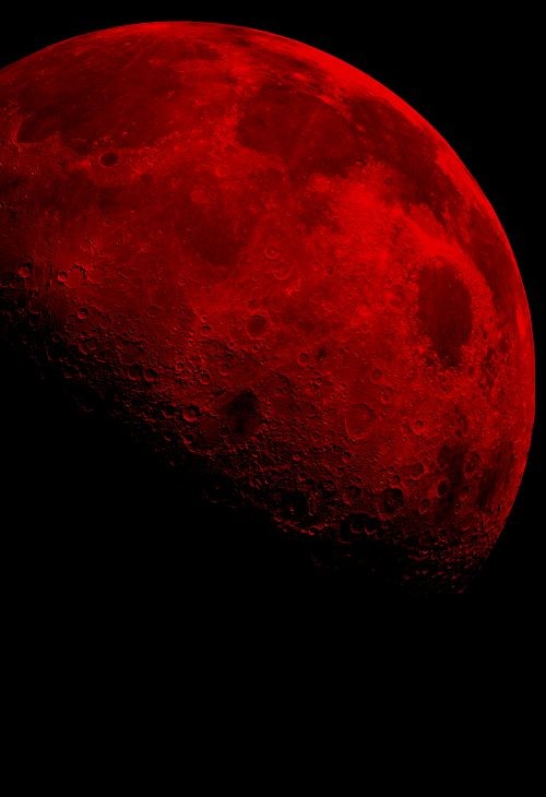 black_demelza's tweet photo. закреплю свои зарисовки, чтобы не нужно было искать https://t.co/GRyfrVmOl9