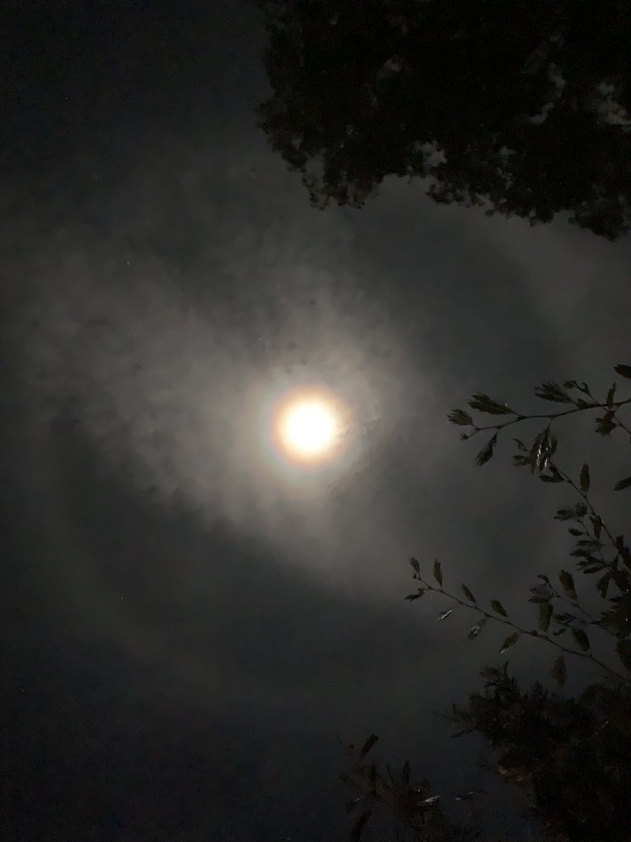 Lovely moon halo over the 🥶 Blue Mountains tonight.