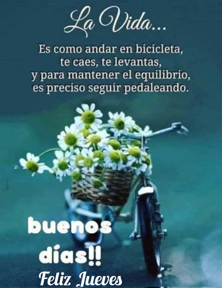 Julieta49031100's tweet photo. @MariLoliPellon Buenos días MariLoli excelente jueves que tú día no sea pesado saludos a todo tú equipo de trabajo https://t.co/vBUyuJjcIY