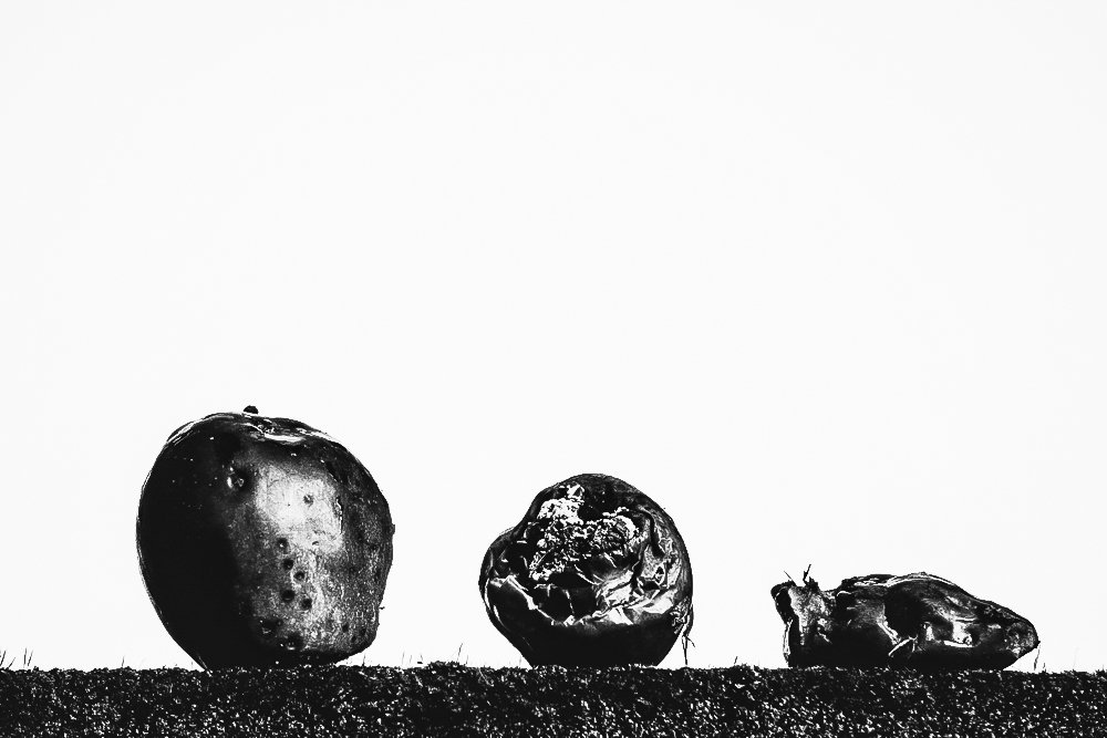LIFE

Photo by: Abdullah Ibradzic 

#life #shyearbook #blackandwhite #bnw_dark #bnwframing #bnw_demand #bnwdark #minimalisticphotography #minimalism #art #sarajevo #photographeroftheday #photojournalism #documentaryphotography