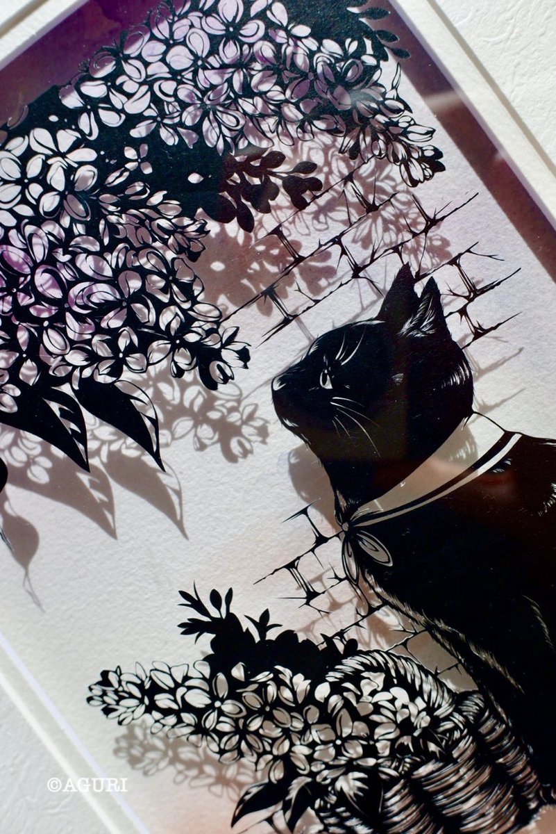 cat black cat no humans animal focus animal flower shadow  illustration images