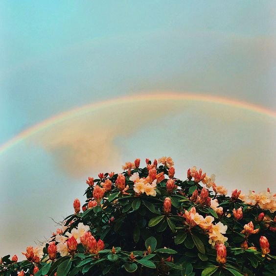 J30NJK_'s tweet photo. 사랑☁︎ 𝐉 ´ 𝑎𝑚𝑜 𝑓𝑜𝑡𝑜𝑔𝑟𝑎𝑓𝑎 𝑎𝑠 𝑐𝑜𝑖𝑠𝑎𝑠, 𝑚𝑒𝑠𝑚𝑜 𝑞𝑢𝑒 𝑠𝑒𝑗𝑎 𝑎𝑙𝑔𝑜 𝑝𝑒𝑞𝑢𝑒𝑛𝑜, 𝑒𝑢 𝑎𝑐ℎ𝑜  𝑡𝑎̃𝑜 𝑝𝑒𝑟𝑓𝑒𝑖𝑡𝑜
사랑☕︎ 𝐊´ 𝑒́ 𝑢𝑚𝑎 𝑓𝑜𝑡𝑜 𝑠𝑖𝑚𝑝𝑙𝑒𝑠 𝑚𝑎𝑖𝑠 𝑝𝑎𝑟𝑎 𝑚𝑖𝑚 𝑡𝑒𝑚 𝑣𝑎𝑙𝑜𝑟. https://t.co/rlKDkpdnnJ