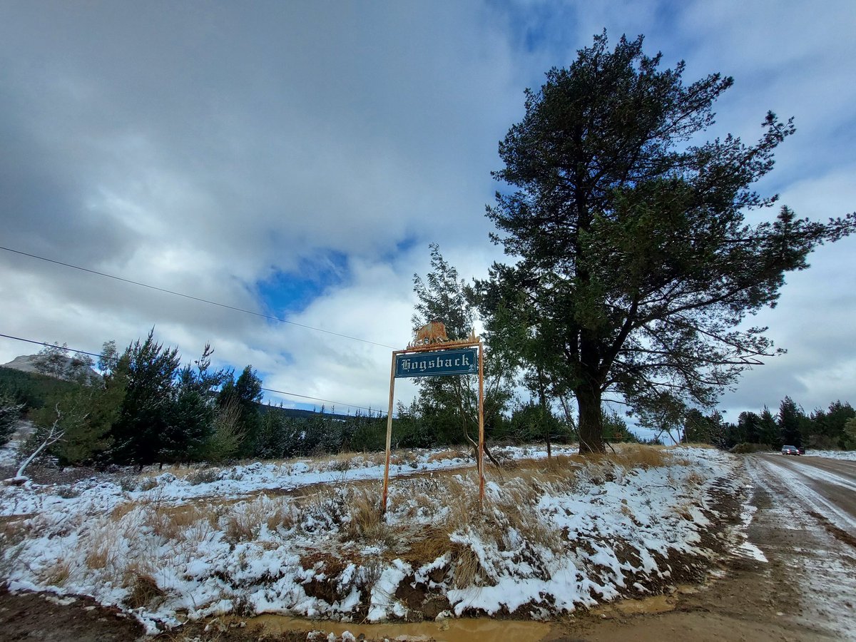 MikaylaBoy's tweet image. Snow in @hogsback ☃️