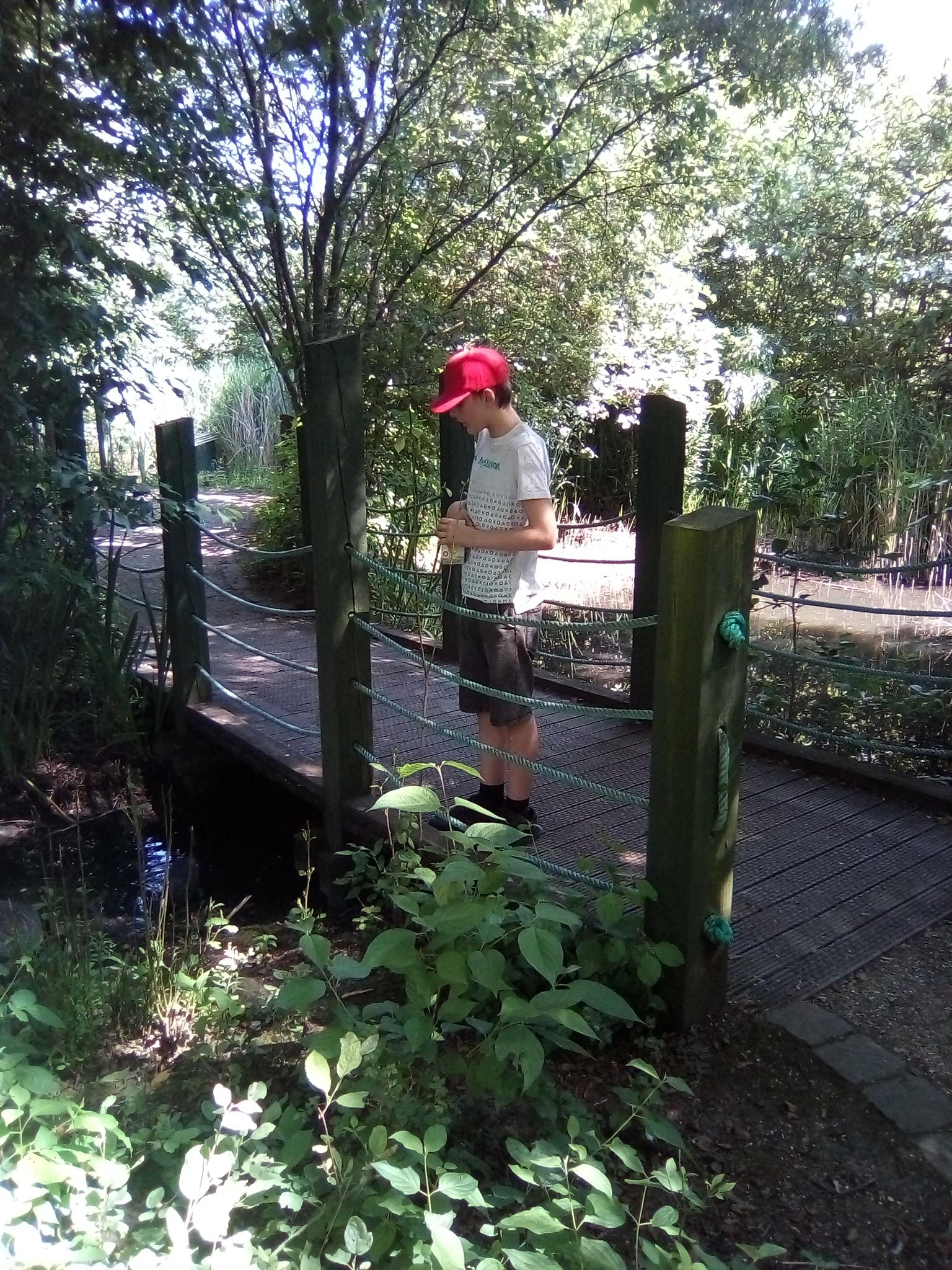 Umbrella Derby on Twitter "Luke enjoyed a trip to conkers. He loved