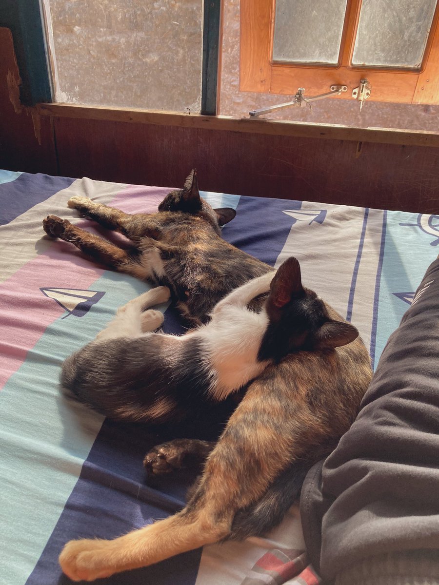 G a b a n g (@missqu33n) on Twitter photo 