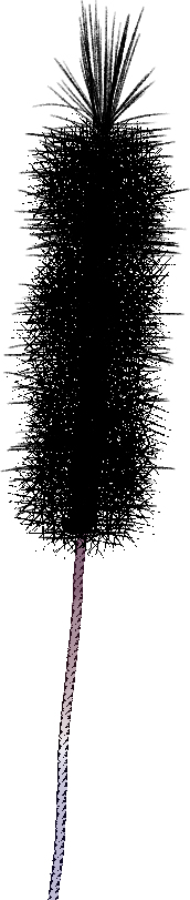 試験管ブラシ #試験管ブラシ #フリー素材 https://t.co/OJHVVNDPuN 