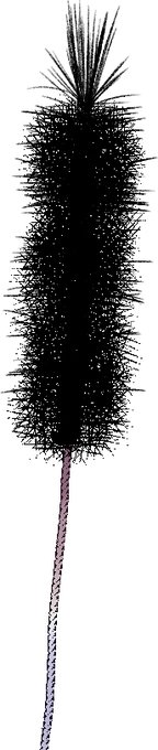 試験管ブラシ #試験管ブラシ #フリー素材 https://t.co/OJHVVNDPuN 