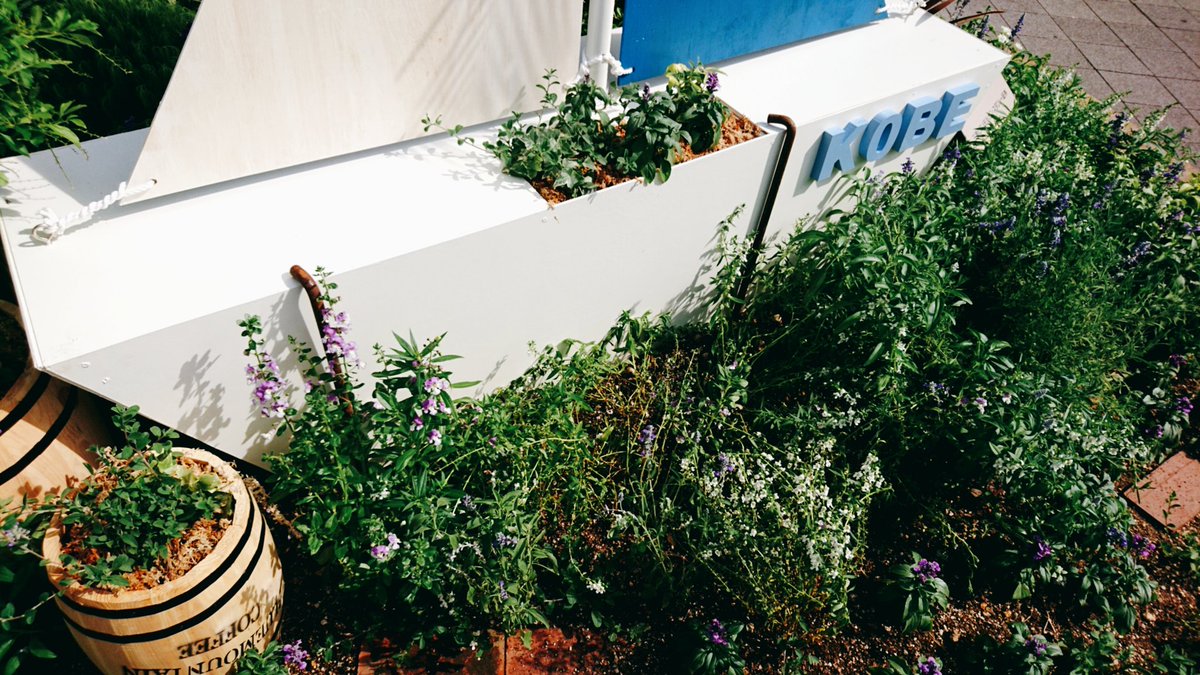 みんなの 風見鶏 コーヒー おいしい 口コミ 評判 食べたいランチ 夜ごはんがきっと見つかる ナウティスイーツ