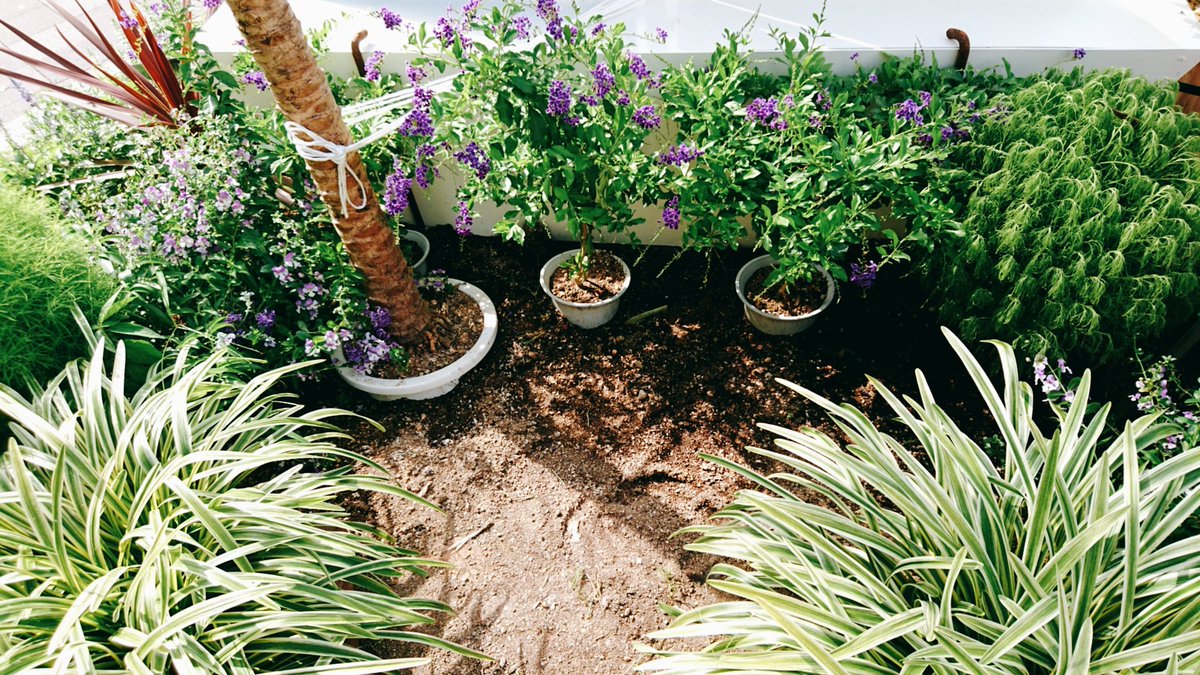みんなの 風見鶏 コーヒー おいしい 口コミ 評判 食べたいランチ 夜ごはんがきっと見つかる ナウティスイーツ