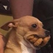 мультишипперство на самом деле ощущается типа