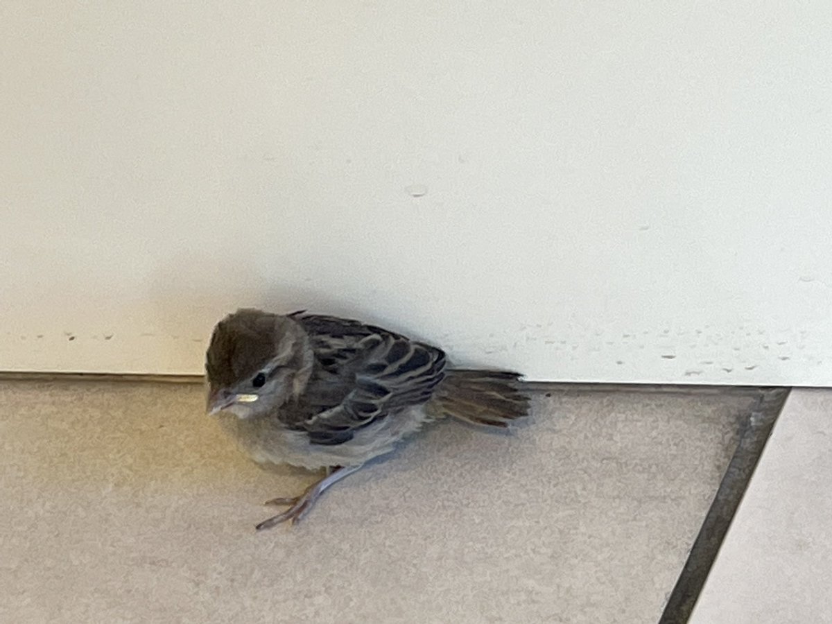 Nouveau sociétaire ce matin !