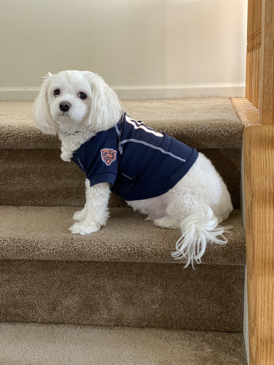 Harrison is out Most Valuable Player!  #NWDogDugoutSweepstakes