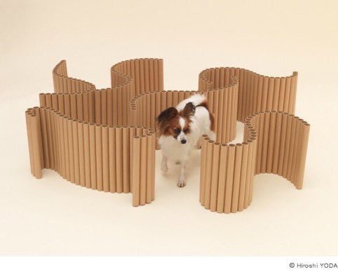 DesignApplause's tweet image. 👏🏿👏🏾👏🏻 @ProTecDi 
Architects of the world who designed for pets?

📷 Toyo Ito &amp;amp; Shiba | Seoul
📷 MVRDV &amp;amp; Beagle | Rotterdam
📷 Shigeru Ban &amp;amp; Papillon | Tokyo
📷 FGMF &amp;amp; Yorkshire Terrier | Saint Paul

▶️#ArchitectureforDogs

 Preferred design?

#WorldDogDay |#DiaMundialDelPerro