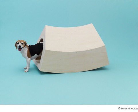 DesignApplause's tweet image. 👏🏿👏🏾👏🏻 @ProTecDi 
Architects of the world who designed for pets?

📷 Toyo Ito &amp;amp; Shiba | Seoul
📷 MVRDV &amp;amp; Beagle | Rotterdam
📷 Shigeru Ban &amp;amp; Papillon | Tokyo
📷 FGMF &amp;amp; Yorkshire Terrier | Saint Paul

▶️#ArchitectureforDogs

 Preferred design?

#WorldDogDay |#DiaMundialDelPerro