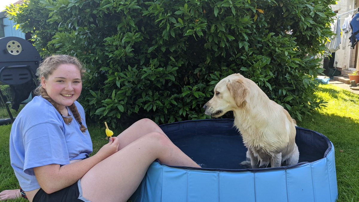 KathyyFletcher's tweet photo. Very happy... Still happy... Getting less happy... Soaked!!! 🤣🤣

This is what @nalaboo_golden thought of me sharing her paddling pool ⛲ or maybe it was that I had a lolly 🍭 and she didn't! 🤣🤷🏼‍♀️

#ThanksDog! https://t.co/x4Rk9MmNhC