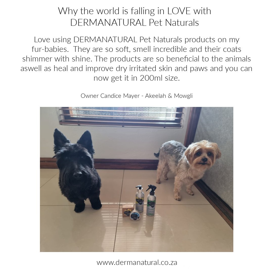 dermanaturalsa's tweet photo. 🐾🐶Why people are falling in love with DERMANATURAL Pet Natural🐶🐾
🌿🐾Review done By Candice Mayer🐾🌿 https://t.co/0FwtPxjXPQ

#Productsareavailableonthewebsite #SouthAfricawebsite #ReviewbyCandiceMayer #EcoFriendly #Biodegradable #Vegan #Sustainable #EcoFriendlyPackaging https://t.co/jdY8yNt290