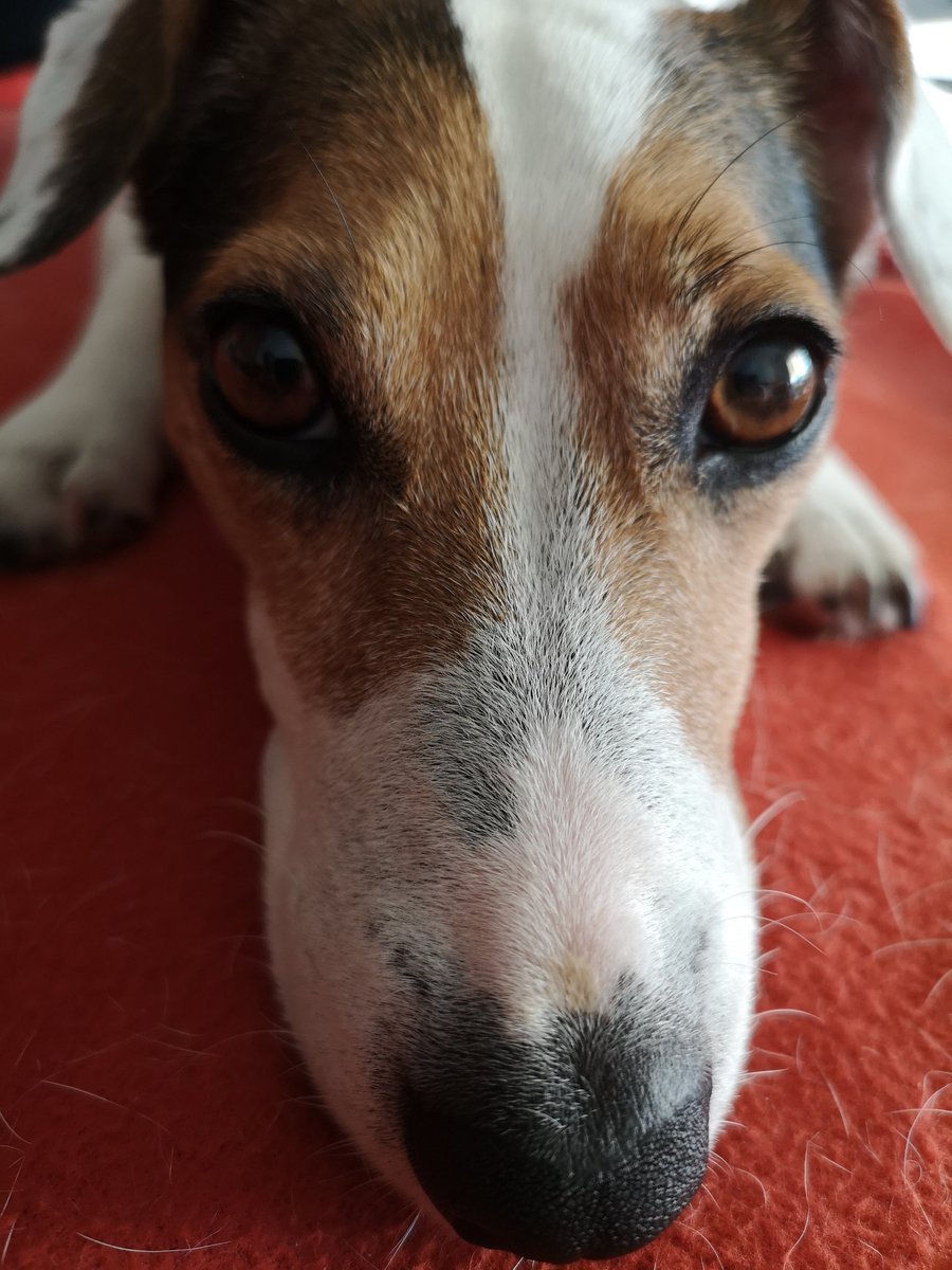 Bin auf der suche nach einem Frauchen für mein Herrchen!
Jemand da??