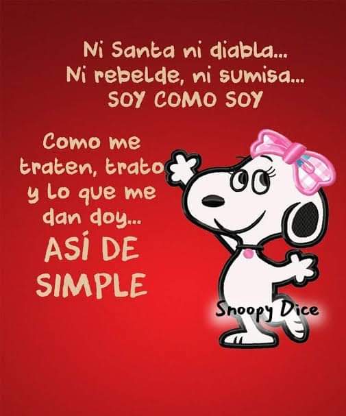 romy_carolina's tweet photo. https://t.co/yaLTAj1R0A