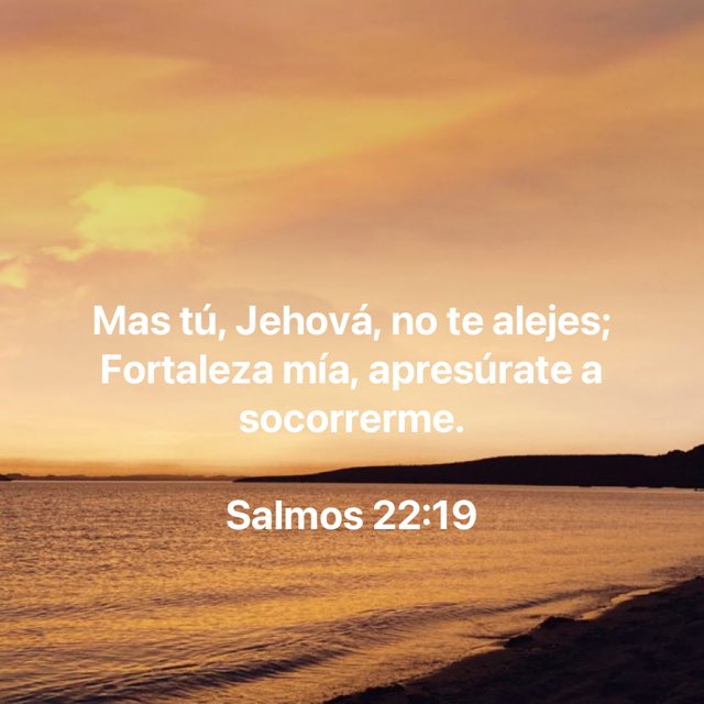 Versículo del día

Salmos 22:19

#VersiculoDelDia
#Biblia 
#Bible 
#BibleVerses 
#FraseDelDia 
#frases 
#Versículo 
#Versiculo 
#Devocional    bible.com/149/psa.22.19.…