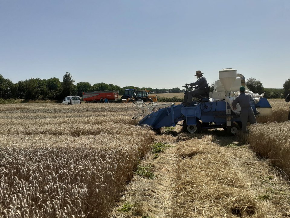 stefanie79 tweet media