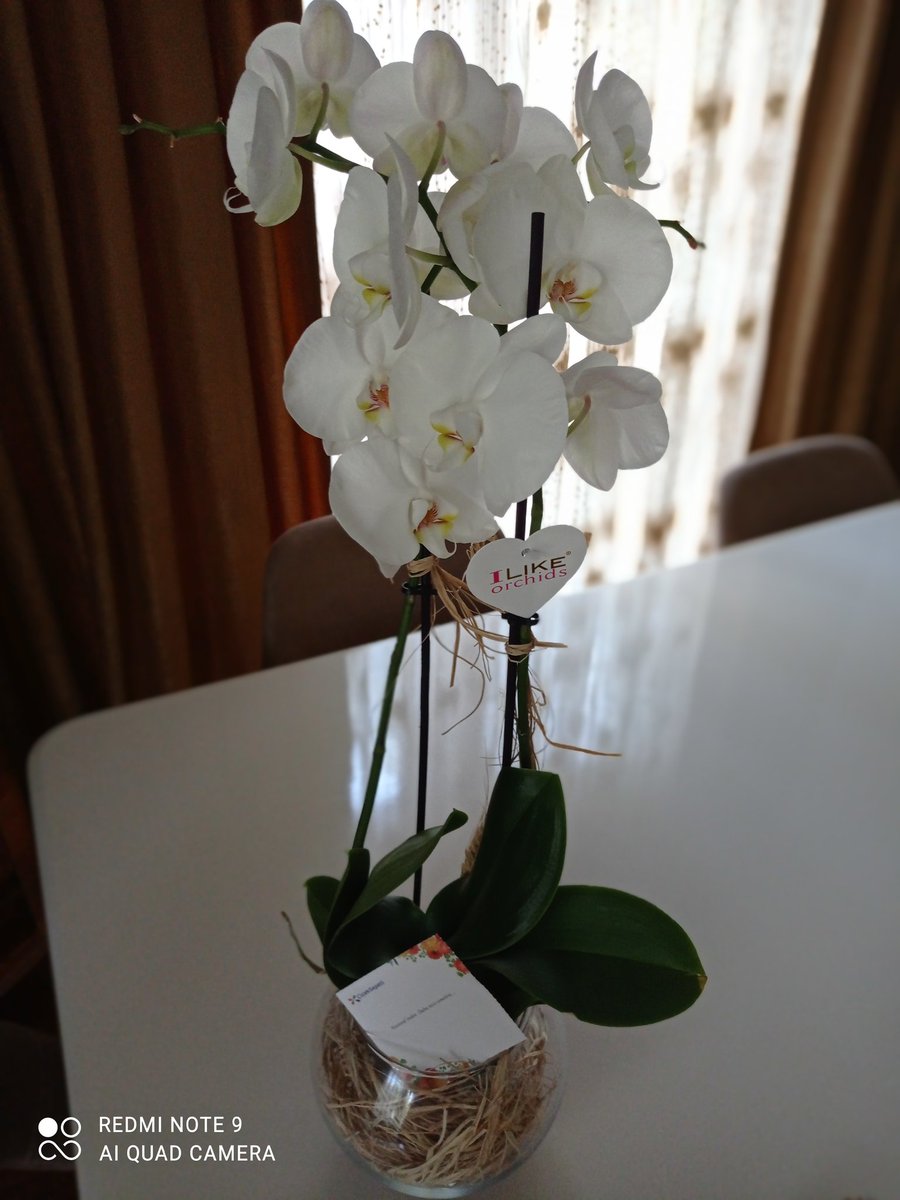 Neeedddd❗❗❗❗
Çok teşekkür ederim 🙏🙏🙏🙏
Beni çok mutlu ettin 🥰🥰🥰🥰
@Nedim01719796