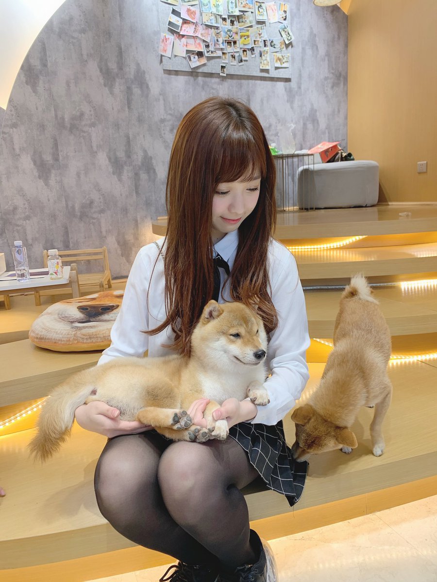 りょた Yamily 哺乳瓶でミルク あげてるyamiちゃんの表情が優しくて好き 動物 さんと触れ合ってるyamiちゃんって可愛い 優しい表情で動物さんにもyamiちゃんにも癒される ㅅ Chanbaekkailu1 T Co 1erchzrest