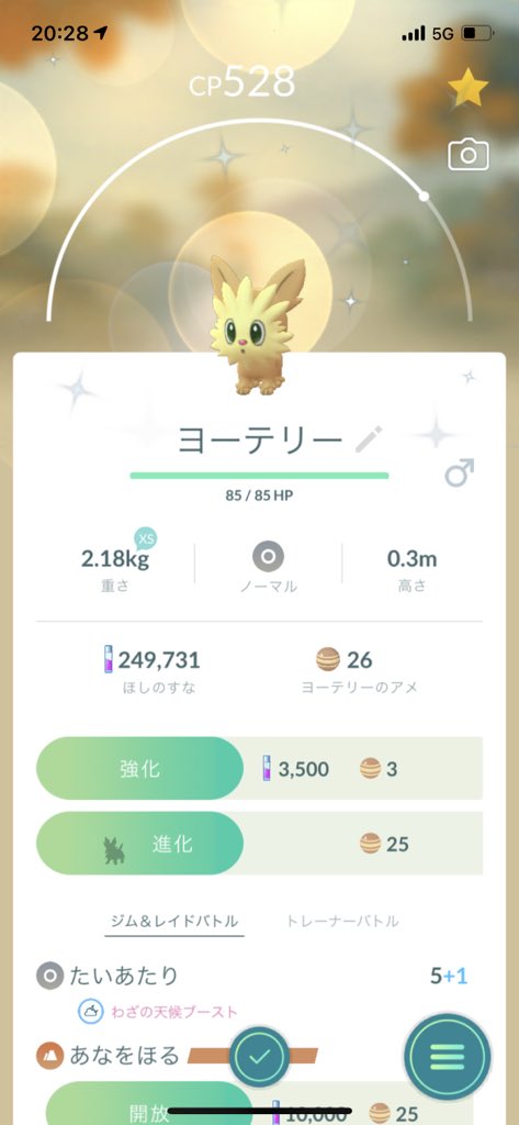 ポケモンgo ヨーテリーの色違い 入手方法と実装状況 攻略大百科