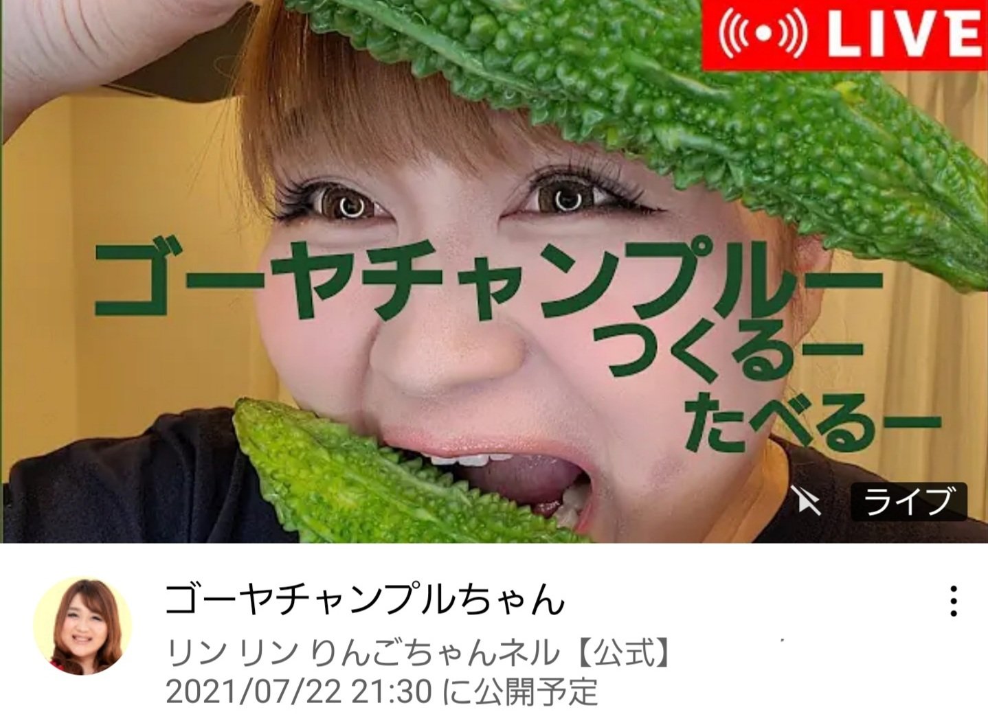 保障できる - りんごちゃん様専用 - 格安通販サイト:17243円