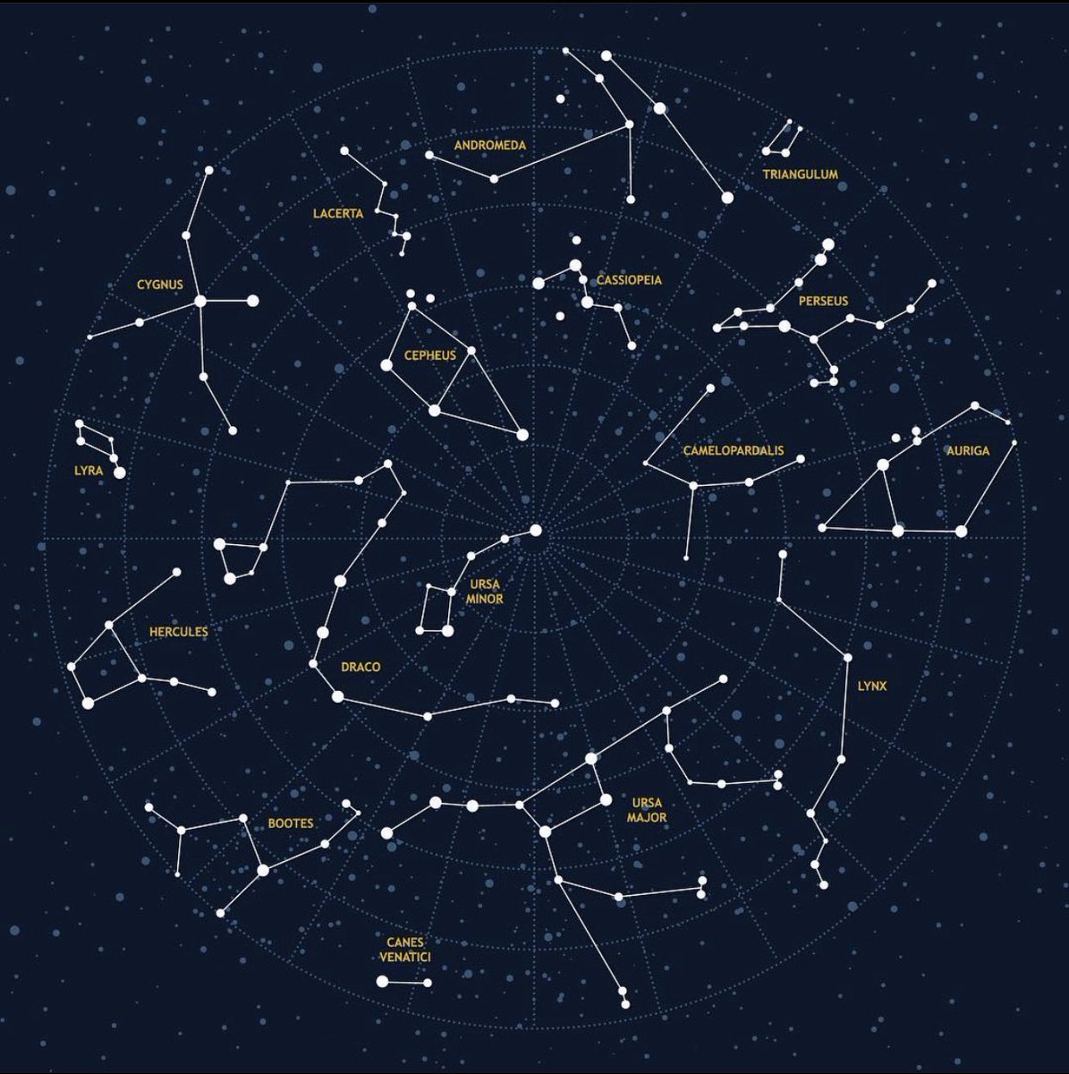 CoroebusWM's tweet photo. Not sent by any, nor suppliant...
•
#predictiveanalytics #pythia #coroebus #goldenaeon #highachievers #olympian #finlit #fintech #athlete #artist #entrepreneur #entrepreneurship #4ir #stem #steam #projectmoonwalk #olympiad #octaeteris #coroebusreturns https://t.co/v12v5ZivYs